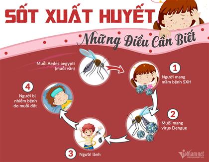 Các biện pháp phòng ngừa sốt xuất huyết